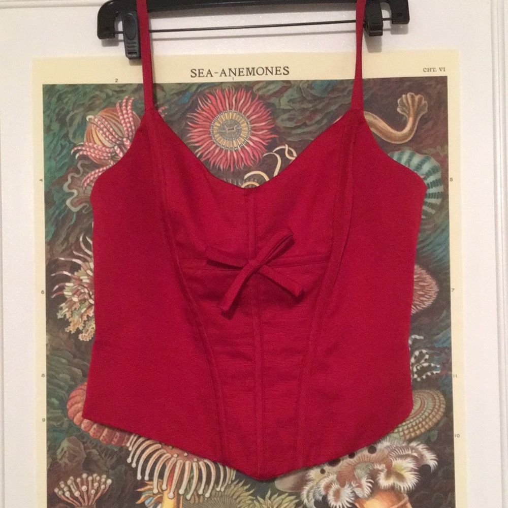 Vintage corset top
